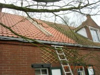 /album/photos-rooftops/roof-tiles-2-jpg1/